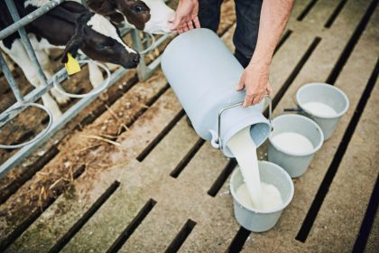 Sulla situazione del conferimento del latte a Bresciangrana, Regione Lombardia pronta a convocare un Tavolo