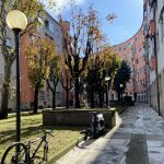 Regione Lombardia interviene con 250.000 euro per affrontare la derattizzazione e la bonifica nel quartiere milanese di Molise-Calvairate.