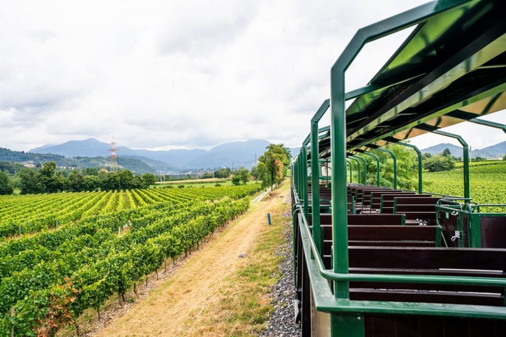 una foto generica dei treni panoramici della linea Palazzolo Sarnico (foto Gruppo FS)