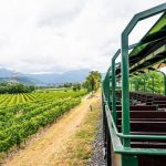 una foto generica dei treni panoramici della linea Palazzolo Sarnico (foto Gruppo FS)