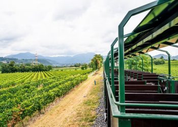 una foto generica dei treni panoramici della linea Palazzolo Sarnico (foto Gruppo FS)