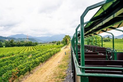 una foto generica dei treni panoramici della linea Palazzolo Sarnico (foto Gruppo FS)