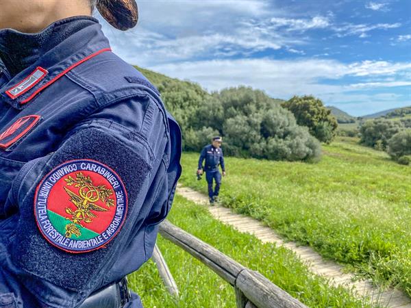 Carabinieri forestali, forestale. L'immagine mostra la divisa di un carabiniere in primo piano e, in secondo piano, un collega che cammina su un sentiero. Utilizzata per notizia incendio Ticino _Immagine sito Carabinieri