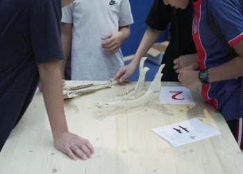 immagine di laboratori con bambini durante edizione 2026 della sull'educazione alla sostenibilità ambientale