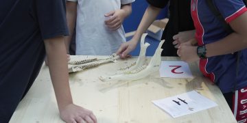 immagine di laboratori con bambini durante edizione 2026 della sull'educazione alla sostenibilità ambientale