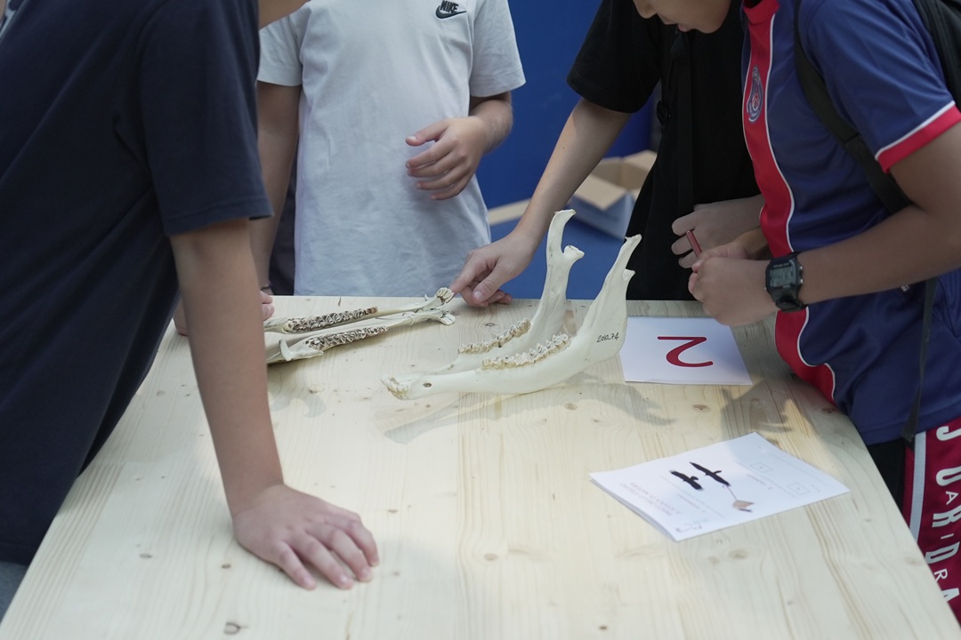 immagine di laboratori con bambini durante edizione 2026 della sull'educazione alla sostenibilità ambientale