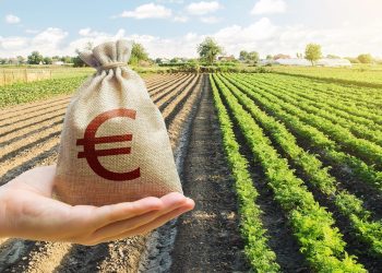 Più credito agricoltura, via al bando con fondi Finlombarda