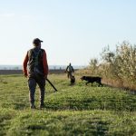 La stagione venatoria in Lombardia si apre domenica 20 settembre 2026