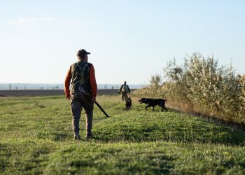 La stagione venatoria in Lombardia si apre domenica 20 settembre 2026