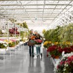 Il florovivaismo, per l'agricoltura lombarda, è un pilastro da 300 milioni di euro