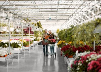 Il florovivaismo, per l'agricoltura lombarda, è un pilastro da 300 milioni di euro