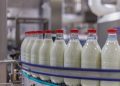 Per il lattiero caseario e la zootecnia alleanza lombarda di Ismea con Clal