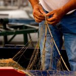 Per la pesca professionista sostenibile in Lombardia un bando da 350.000 euro