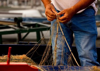 Per la pesca professionista sostenibile in Lombardia un bando da 350.000 euro