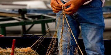 Per la pesca professionista sostenibile in Lombardia un bando da 350.000 euro