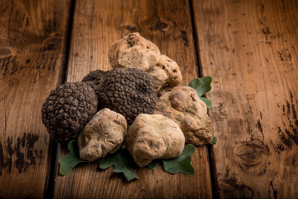 tartufo bianco di Borgofranco sul Po