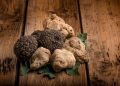 tartufo bianco di Borgofranco sul Po