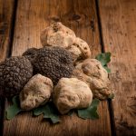tartufo bianco di Borgofranco sul Po