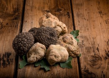 tartufo bianco di Borgofranco sul Po