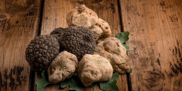 tartufo bianco di Borgofranco sul Po