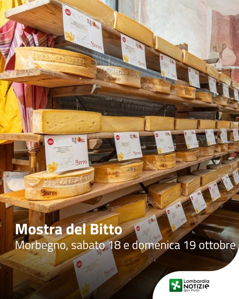 A Morbegno (So) sabato 17 e domenica 18 ottobre torna la  Mostra del Bitto, un evento imperdibile per gli amanti del formaggio e delle tradizioni valtellinesi.
Una manifestazione che si propone come momento per rievocare antiche lavorazioni del territorio, prodotti DOP e la memoria di ricette tradizionali.
￼
🕰 Orari:
sabato 18 ottobre: dalle 10 alle 22;
domenica 19 ottobre: dalle 10 alle 18.

Scopri il programma su @mostradelbitto 

#lnews #lombardianotizie @valtellinaofficial @valtellinaturismo @apfvaltellina