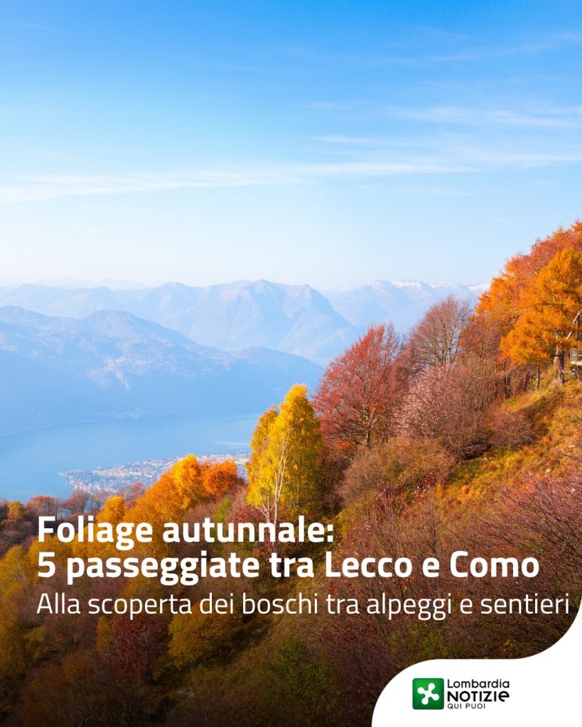 🍂 Sulle Prealpi, l’autunno dà il meglio di sé, regalandoci uno spettacolo naturale.
È il momento dell’anno in cui faggi, larici, betulle e frassini si tingono di calde sfumature dorate e rossastre, trasformando ogni passeggiata in un’esperienza rigenerante.
Tra le province di Lecco e Como, cinque itinerari per tutti i livelli di allenamento permettono di osservare da vicino questa incredibile metamorfosi stagionale.

Che tu sia un camminatore esperto o semplicemente alla ricerca di una gita fuori porta questi percorsi sono la scusa perfetta per staccare la spina.

Scopri di più su @in_lombardia 

#lnews #lombardianotizie #como #lecco @visitcomo @visitlecco