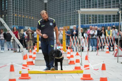 In foto una dimostrazione di addestramento in occasione della Giornata nazionale dei cani guida in piazza Città di Lombardia