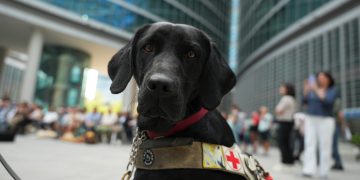 Regione Lombardia stanzia 150.000 euro per sostenere le associazioni che si occupano della crescita e dell’addestramento di cani guida