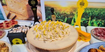 Grana Padano, con il Parmigiano Reggiano una della Dop più importanti a livello europeo e interessato dalla Dichiarazione di Mantova