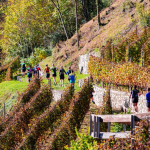 Presentata a Palazzo Lombardia l'edizione 2026 della gara podistica Valle dei Segni Wine Trail, in programma dal 23 al 25 ottobre