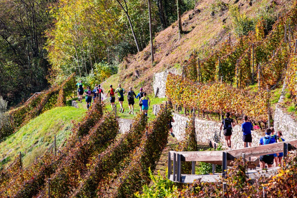 Presentata a Palazzo Lombardia l'edizione 2026 della gara podistica Valle dei Segni Wine Trail, in programma dal 23 al 25 ottobre