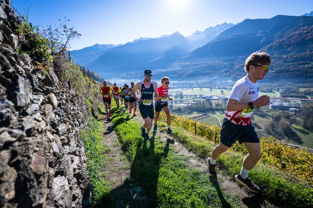 La Valtellina Wine Trail torna il 7 novembre 2026 con un'edizione che punta a coniugare sport e valorizzazione delle eccellenze locali