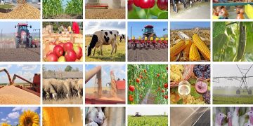 Politica agricola comune torna a essere pilastro per la Ue
