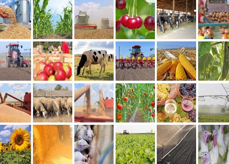 Politica agricola comune torna a essere pilastro per la Ue