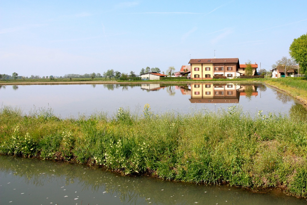 Regione Lombardia aderisce al progetto europeo Solila
